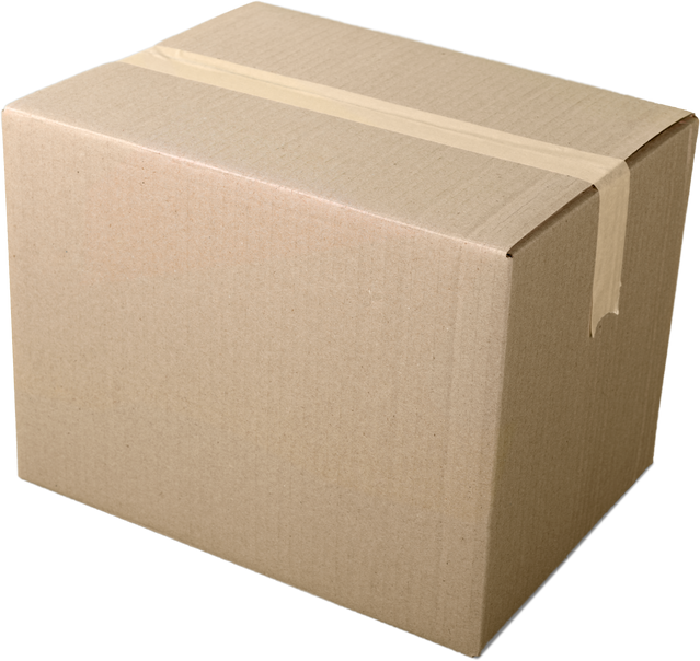 Sealed Cardboard Box